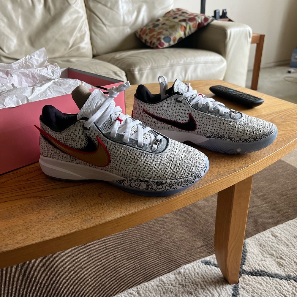 Lebron 20 “The Debut” size 9